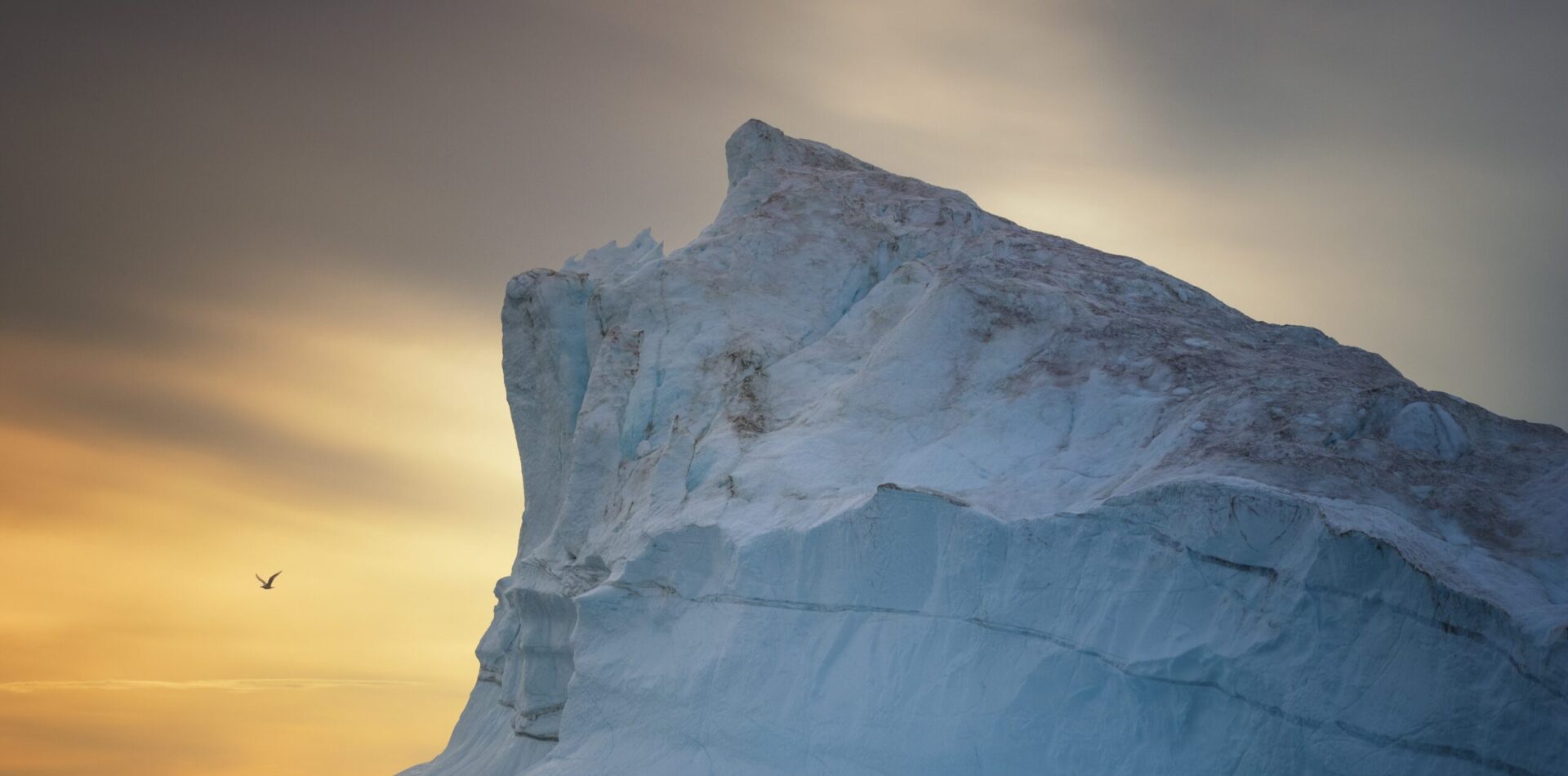 Icefjord sightseeing (1) MAIN Midnight sun