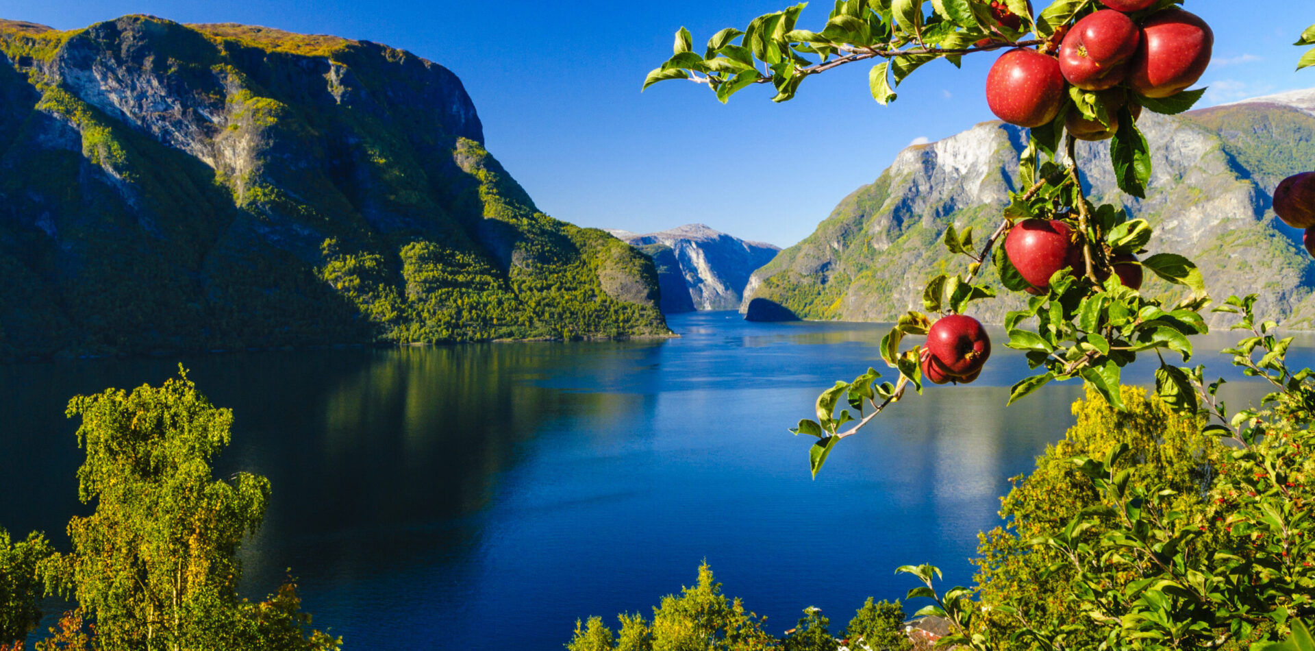 Aurland