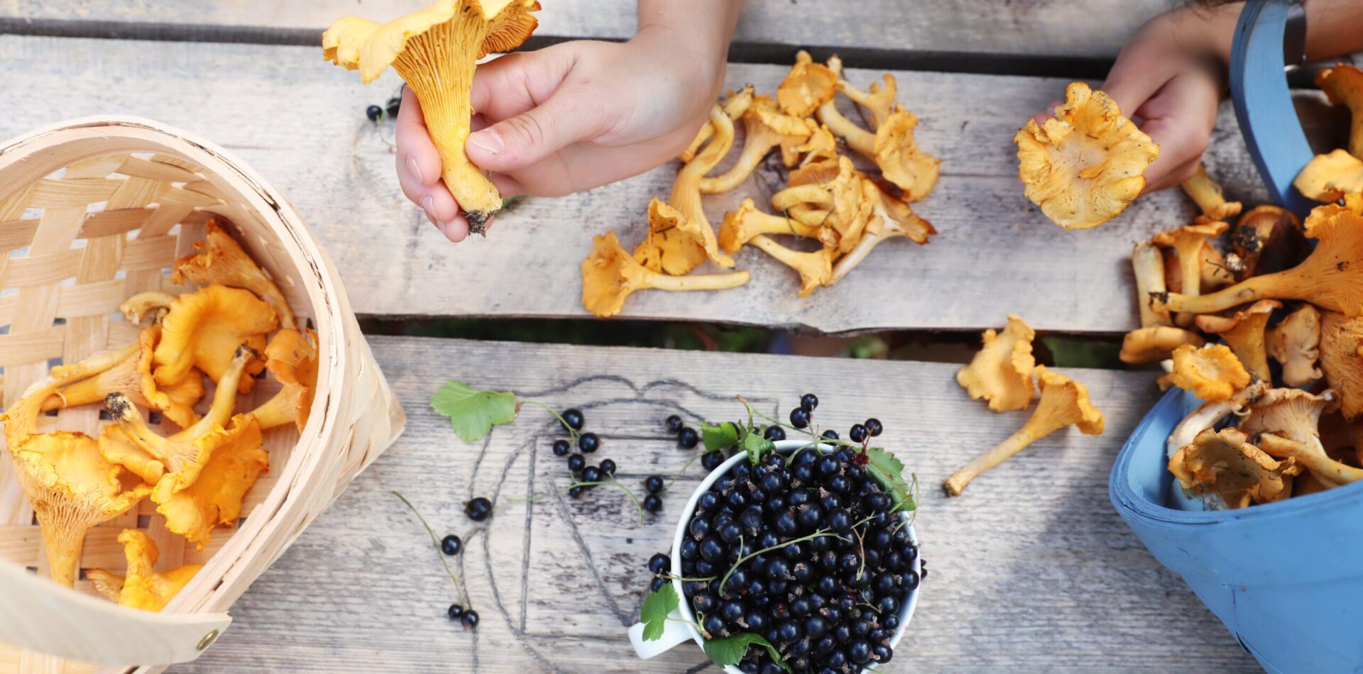 Forage for delicacies (6)