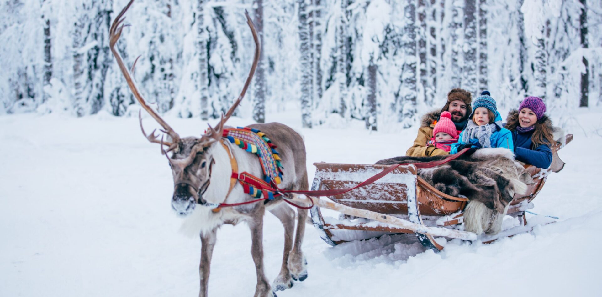 Where to spend the Holidays (4)